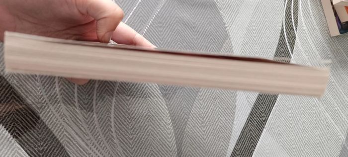 Livre chair de poule - photo numéro 3