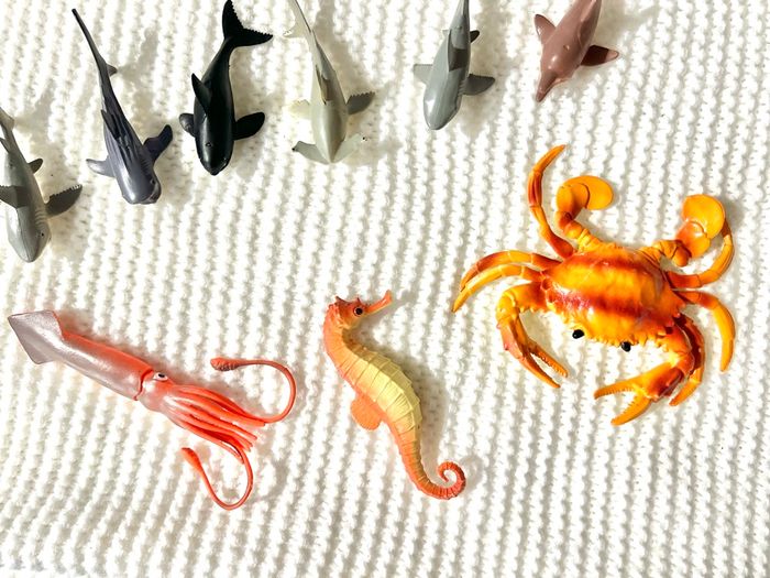 Crabe, requins, tortue, cage, hippocampe, algue, calamar. - photo numéro 6