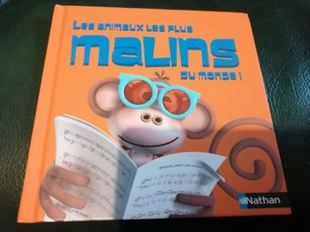 Les animaux malins du monde !