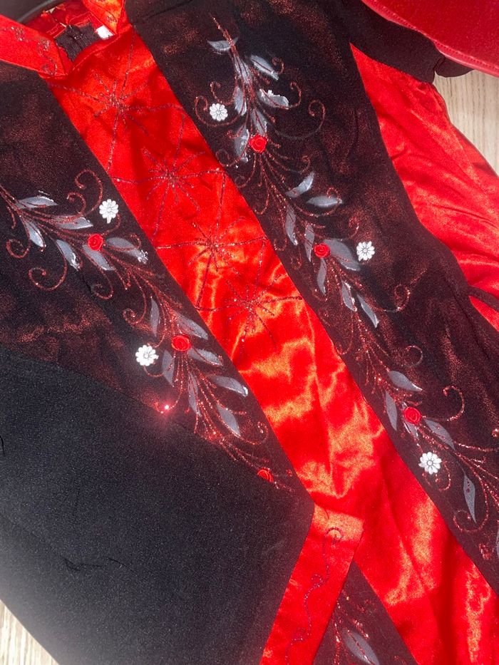 déguisement - photo numéro 2