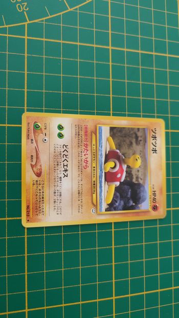 213 Carte Pokémon japonaise Caratroc neo revelation peu commune Pocket Monsters #E22