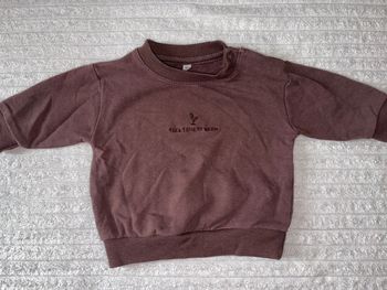 Pull marron