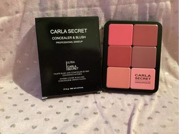 Palette blush / anti cerne 
