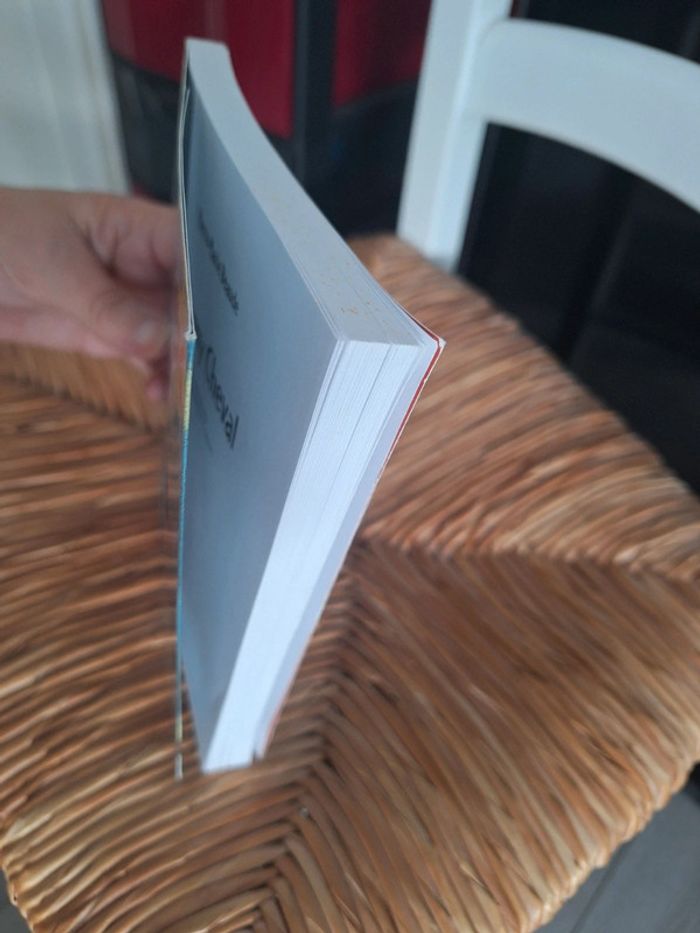 Livre Jérémy cheval - photo numéro 2