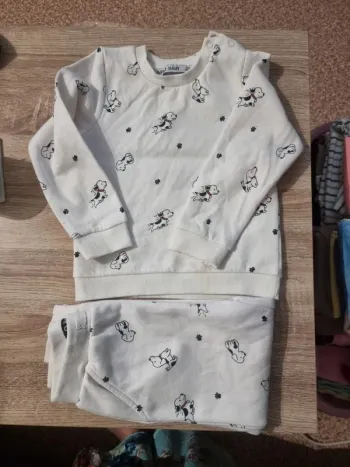 Ensemble dalmatien