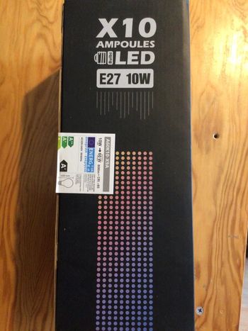 Boite de 10 ampoules Led 10 W