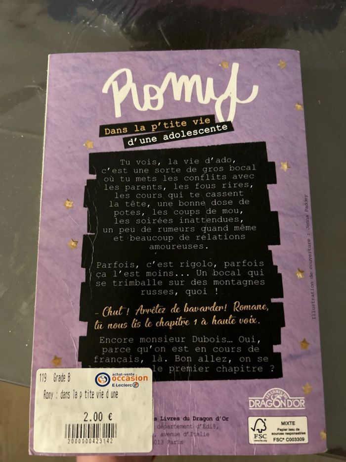 Romy dans la petite vie d’une adolescente - photo numéro 2