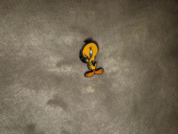 Broche looney tunes