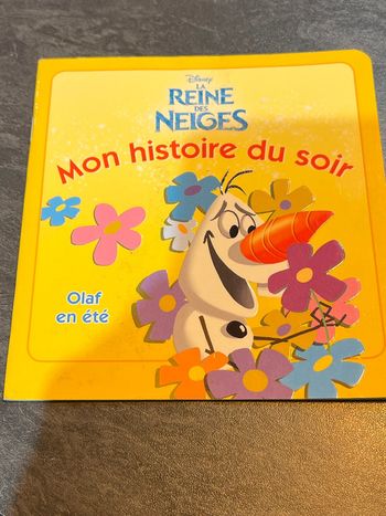 Livre jeunesse reine des neiges olaf en été