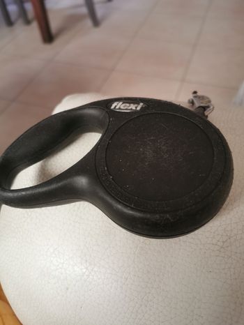 Laisse pour petits chiens Flexi retractable