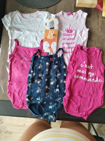 Lot de 5 bodies manches courtes