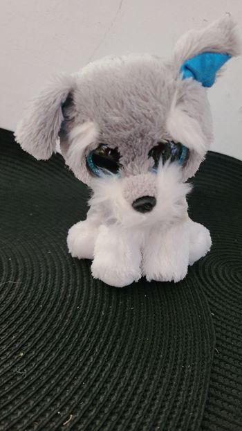 Ty - - Beanie Boo's - Peluche Whiskers Chien 15 cm