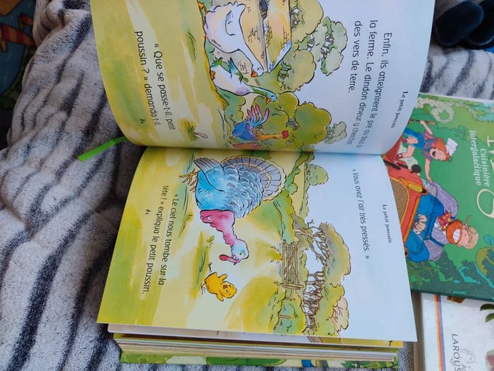 Usborne Contes et fables d'animaux - photo numéro 4