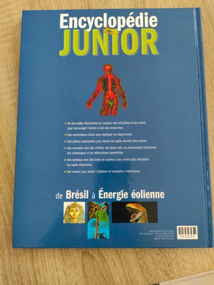 Encyclopédie junior de bresil a energie éolienne - photo numéro 2