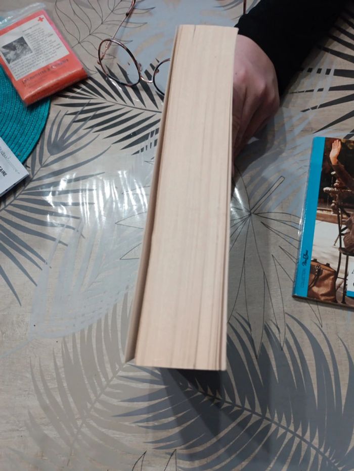 Livre maman a tort - photo numéro 4