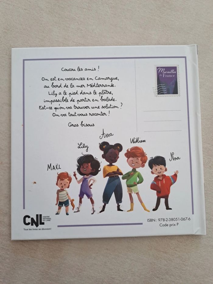 Une carriole dans la camargue - photo numéro 2