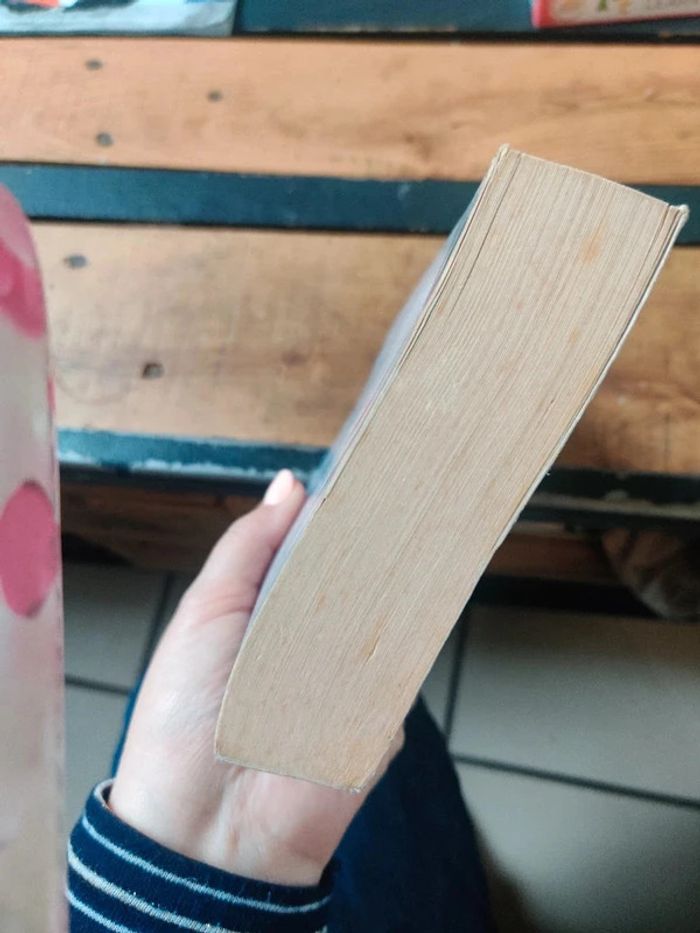 Orkhidos de Stéphane Héaume - photo numéro 8