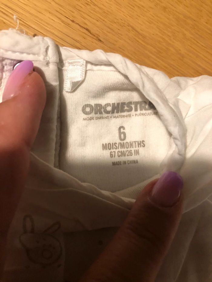 Ensemble Orchestra - photo numéro 5