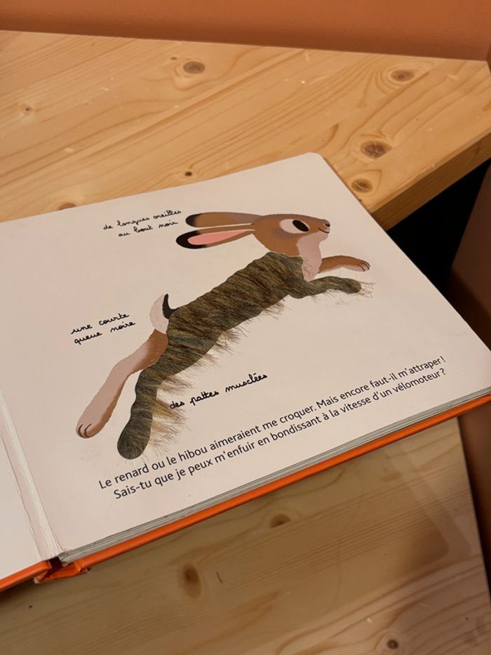 livre - photo numéro 3