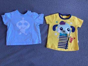 Lot 2 tee shirts bebe 12 mois