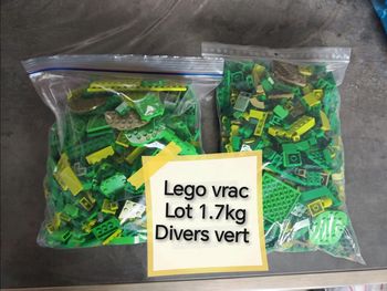 Lego vrac lot 1.7kg divers vert