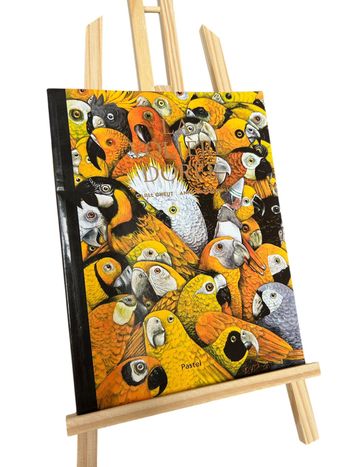 Livre la volière dorée - L'école des loisirs