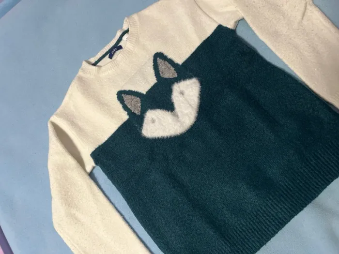 Pull fille - photo numéro 2