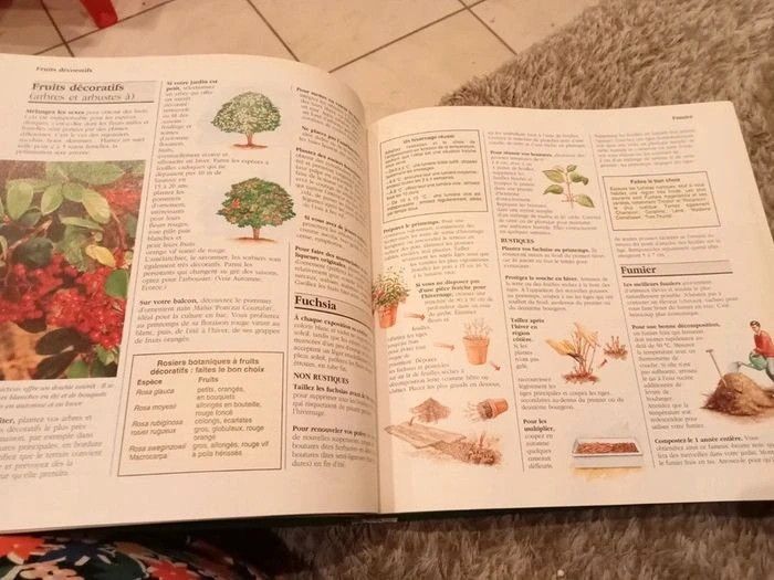 1001 trucs et astuces pour le jardin - photo numéro 2