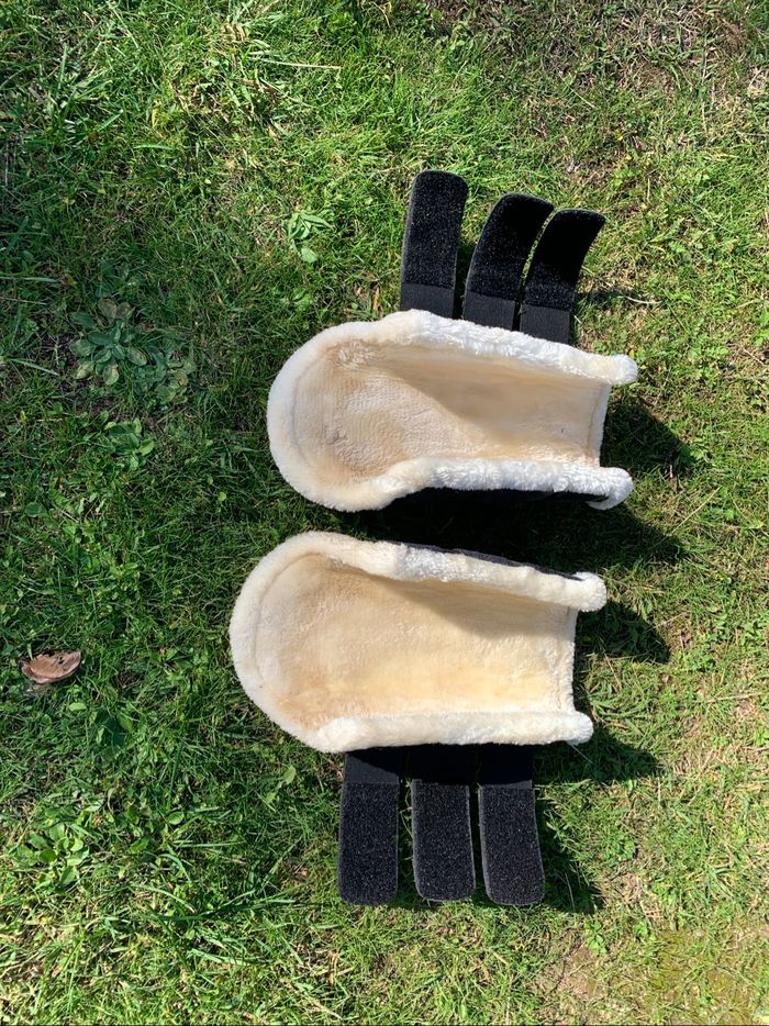 Guêtres de dressage Showmaster - photo numéro 3