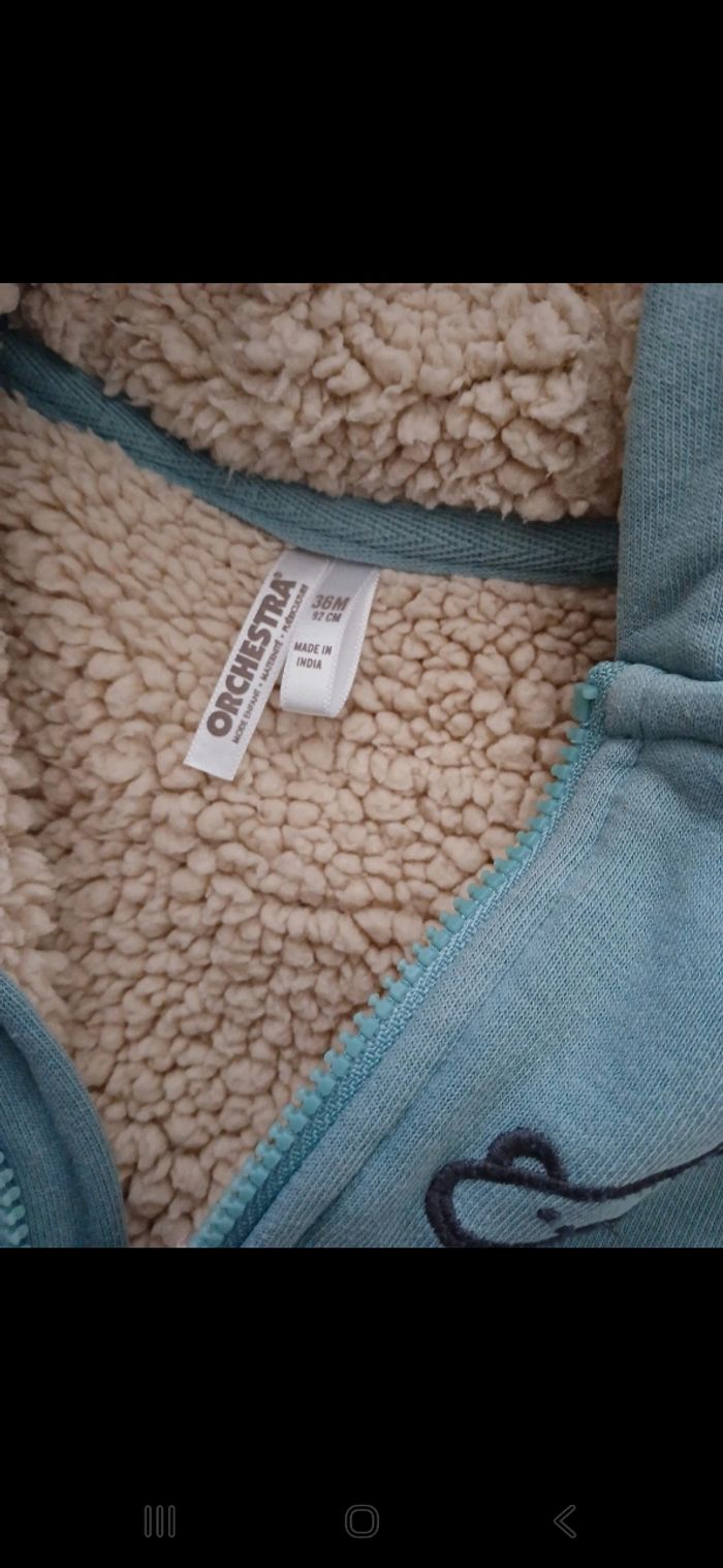 Vestes - photo numéro 3