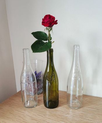 🌿 3 bouteilles vase décoratives en verre 🌿