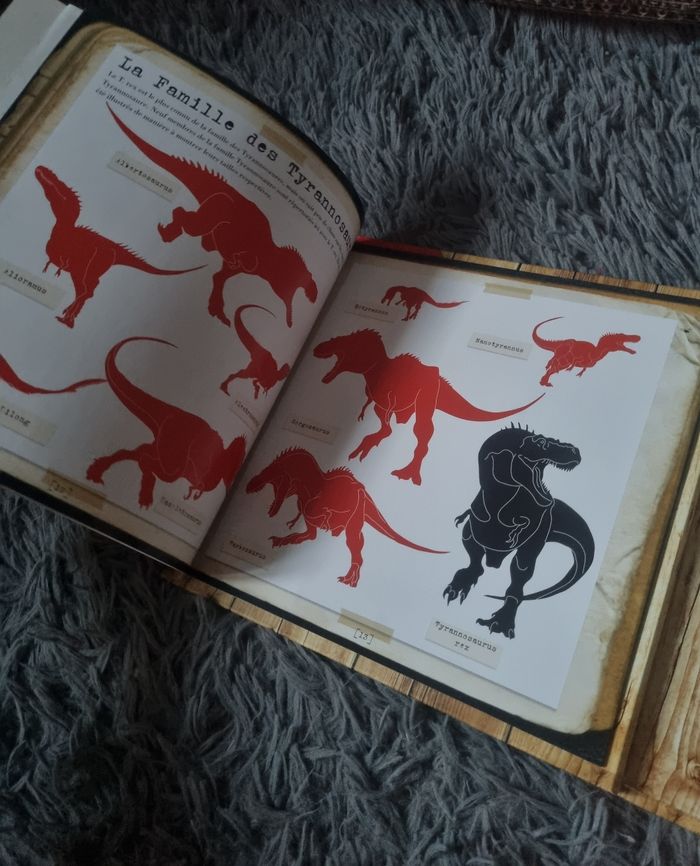 Le Coffret d'un explorateur (un livre et une maquette) - photo numéro 4