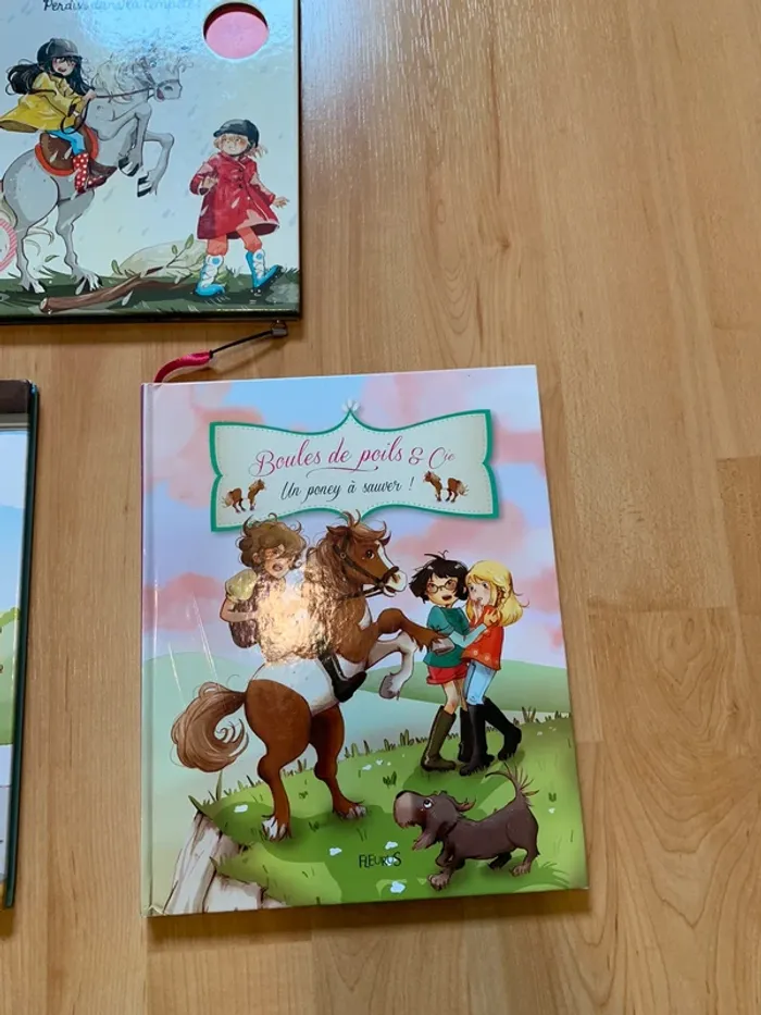 Lot livres poneys - photo numéro 4