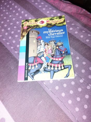 Le mystèrieux chevalier