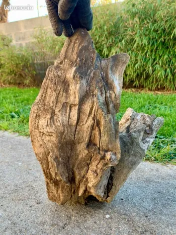 Branche bois 🪵 flotter