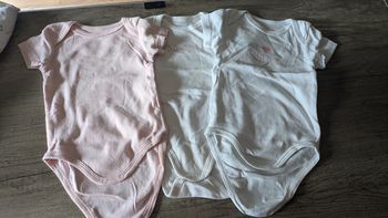 Lot de 3 bodies à manches courtes