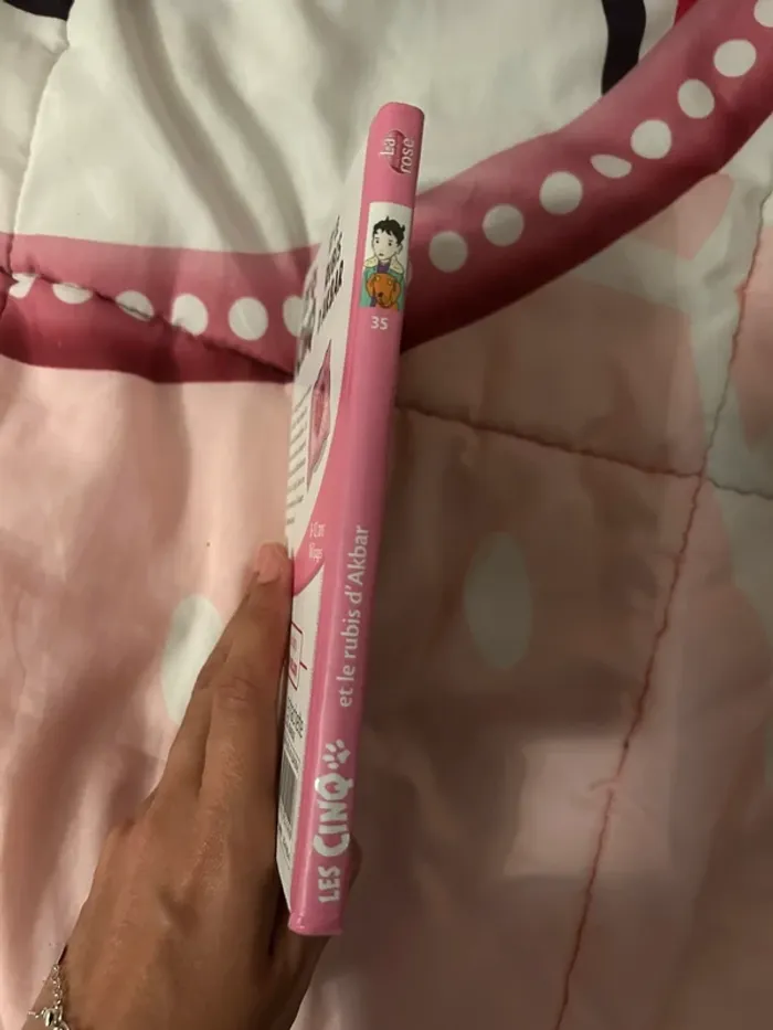 Livre la bibliothèque, rose les cinq et le rubis d’akbar - photo numéro 2