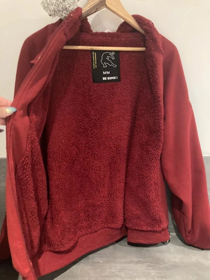 Pulls à capuche avec zip - photo numéro 2
