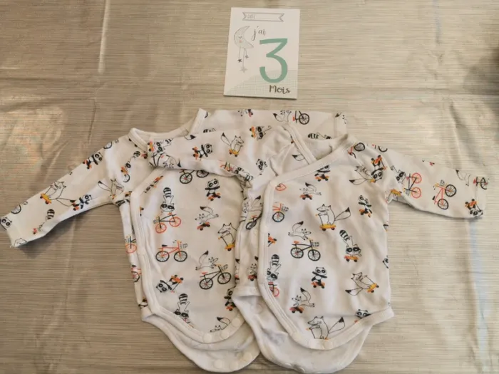 Lot de 2 bodies garçon 9mois