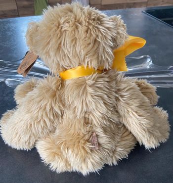 Ours de collection Sleepy de Heartfelt Collectibles