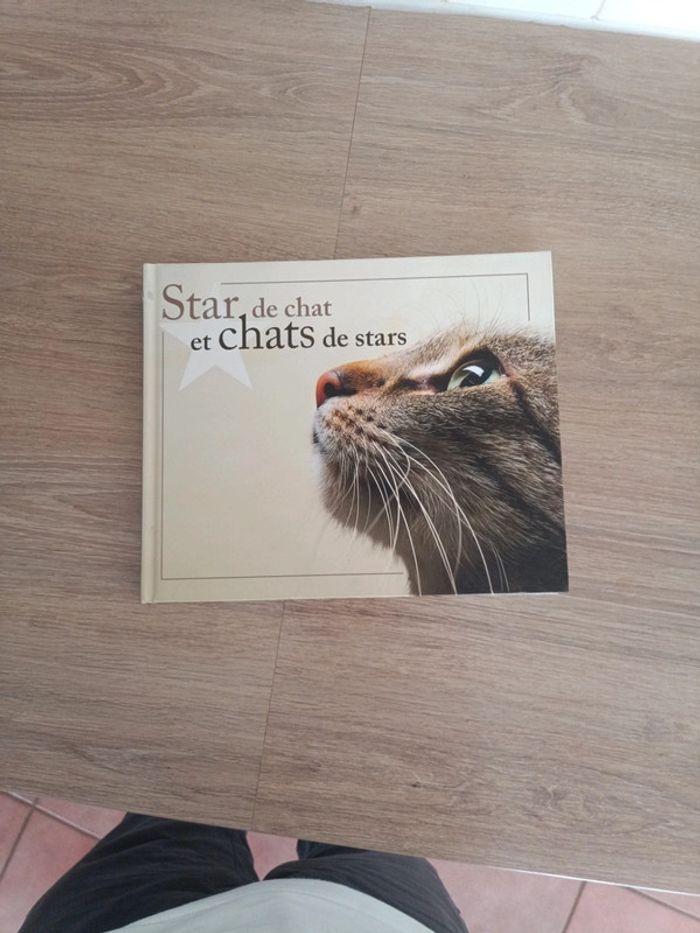 Star de chat et chats de stars