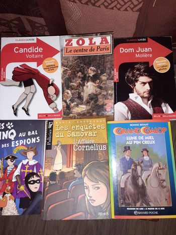 Lot de livre le tous 1 euros