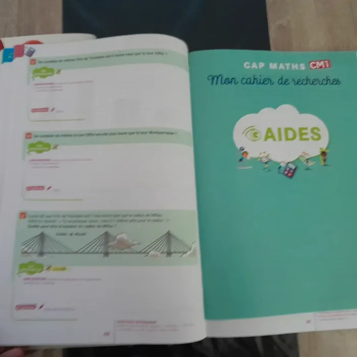 Lot 2 livres cap mats cm1 - photo numéro 11