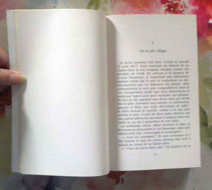 LE PETIT FOUGAUD de Albert DUCLOZ Ed. de Noyelles - photo numéro 6