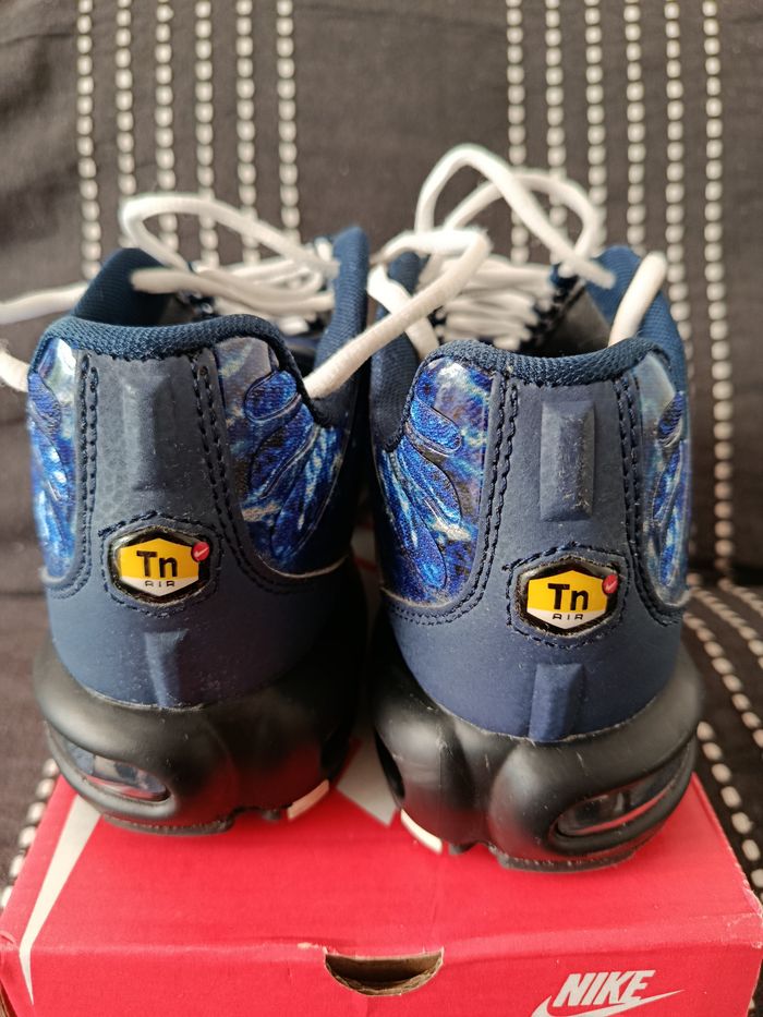 TN bleue - photo numéro 5