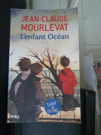 Livre L'enfant ocean