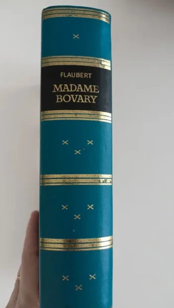 livre madame bovary