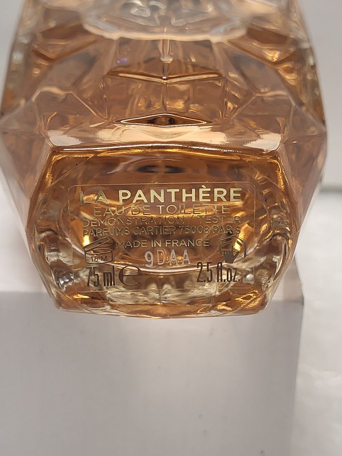 La panthere - photo numéro 3