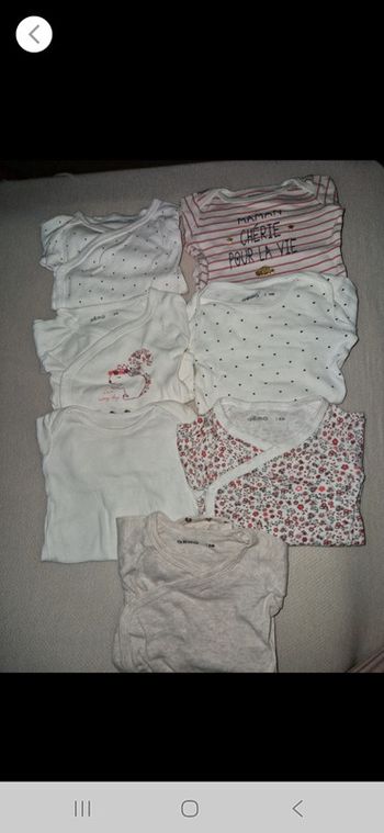 Lot 7 bodies 6mois