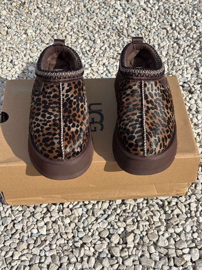 Ugg tazz caspian - photo numéro 2